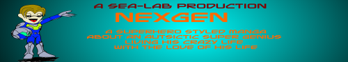 banner